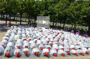 La loi sur les manipulations concernant l'embryon humain 11-juillet-2013-2bis